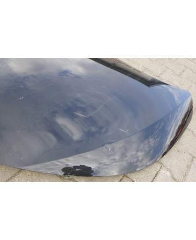 Toyota Corolla E16 Maska