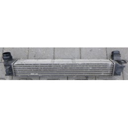 Renault Megane Intercooler...