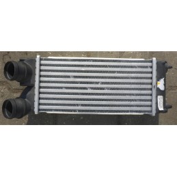 Peugeot 3008 Intercooler...