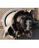 Scania R450 Halogen Prawy 2080689 (89250181)