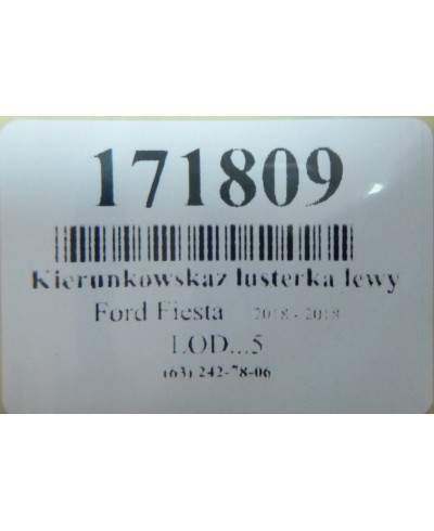 Ford Fiesta MK7 Kierunkowskaz Lusterka Lewy H1BB13B382 (8802-500LH)