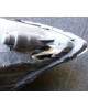 Hyundai i20 Reflektor Lewy 92101-4P000