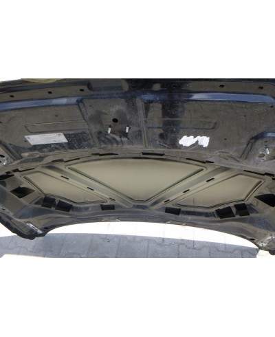 Audi Q3 Maska 8u0010515b