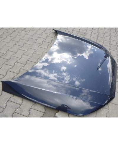 Audi A4 B9 Maska 8w0823029a