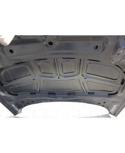Audi A4 B9 Maska 8w0823029a
